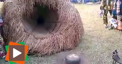 admirez-la-technologie-africaine