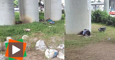 echangeur-de-marcory-pres-de-deux-ans-apres-la-desolation