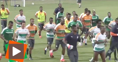 1ere-seance-d-entrainement-des-elephants-a-oyem