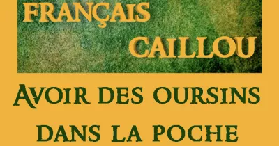 francais-caillou-definition-du-jour-quot-avoir-des-oursins-dans-la-poche-quot
