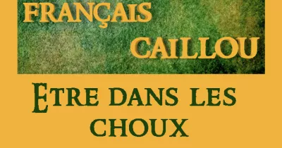 francais-caillou-definition-du-jour-etre-dans-les-choux