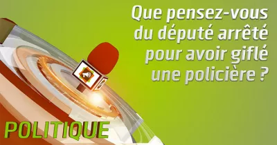microdrome-que-pensez-vous-du-depute-arrete-pour-avoir-gifler-une-policiere