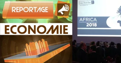 forum-economique-lebanese-diaspora-energy-2018