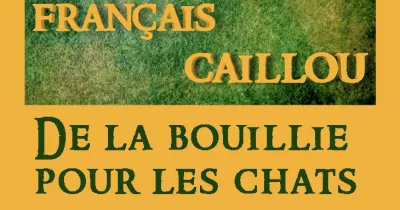 francais-caillou-definition-du-jour-quot-de-la-bouillie-pour-les-chats-quot