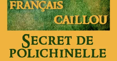 francais-caillou-definition-du-jour-quot-secret-de-polichinelle-quot