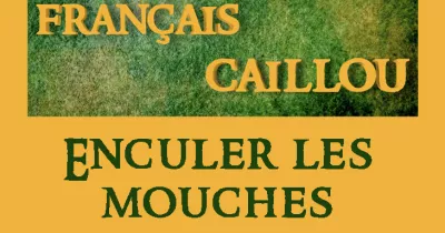 francais-caillou-definition-du-jour-quot-enculer-les-mouches-quot