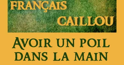 francais-caillou-definition-du-jour-quot-avoir-un-poil-dans-la-main-quot