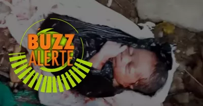 buzz-alerte-un-nouveau-ne-retrouve-dans-une-poubelle