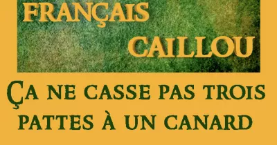francais-caillou-definition-du-jour-quot-ca-ne-casse-pas-trois-pattes-a-un-canard-quot