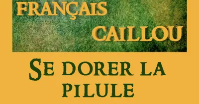 francais-caillou-definition-du-jour-quot-se-dorer-la-pilule-quot