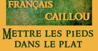 francais-caillou-definition-du-jour-quot-mettre-les-pieds-dans-le-plat-quot