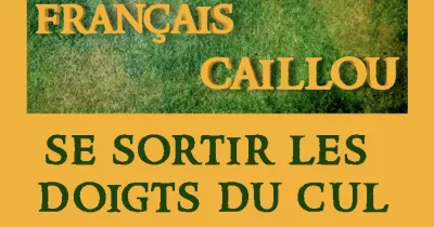 francais-caillou-definition-du-jour-quot-se-sortir-les-doigts-du-cul-quot