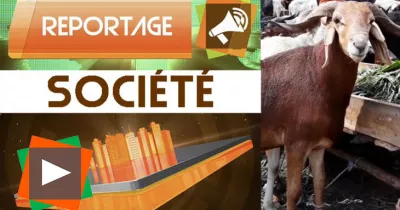 reportage-tabaski-2018-la-fete-en-immersion-avec-une-famille-musulmane