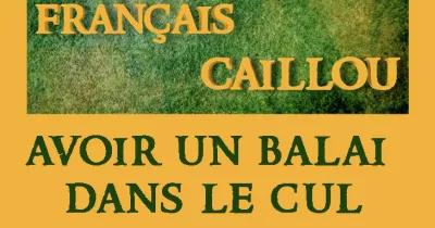 francais-caillou-definition-du-jour-quot-avoir-un-balai-dans-le-cul-quot
