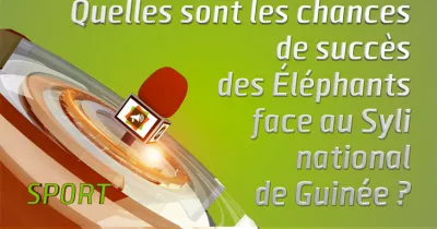 microdrome-quelles-sont-les-chances-de-succes-des-elephants-face-au-syli-national-de-guinee
