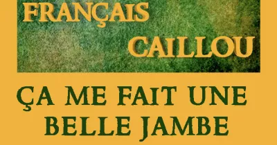 francais-caillou-definition-du-jour-ca-me-fait-une-belle-jambe