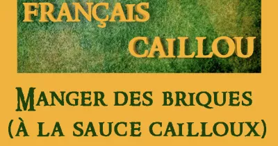 francais-caillou-definition-du-jour-manger-des-briques-a-la-sauce-cailloux