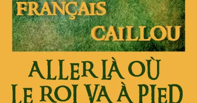 francais-caillou-definition-du-jour-aller-la-ou-le-roi-va-a-pied