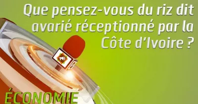 microdrome-que-pensez-vous-du-riz-dit-avarie-receptionne-par-la-cote-d-ivoire