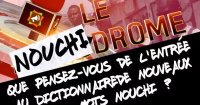 nouchidrome-que-pensez-vous-de-l-entree-au-dictionnaire-de-nouveaux-mots-nouchi