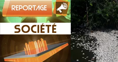 reportage-des-poissons-d-origine-douteuse-a-abidjan