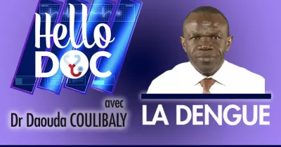hello-doc-la-dengue