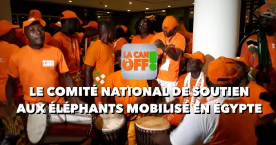 la-can-en-off-le-comite-national-de-soutien-aux-elephants-mobilise-en-egypte