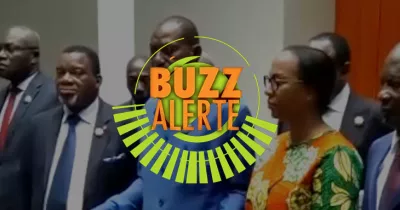 buzz-alerte-assemblee-nationale