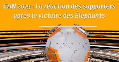 can-2019-la-reaction-des-supporters-apres-la-victoire-des-elephants
