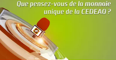 microdrome-que-pensez-vous-de-la-monnaie-unique-de-la-cedeao