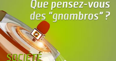 microdrome-que-pensez-vous-des-quot-gnambros-quot