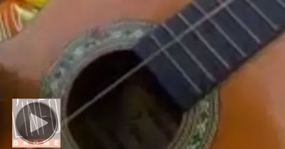 le-joueur-de-guitare-a-une-corde