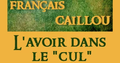 francais-caillou-definition-du-jour-l-avoir-dans-le-quot-cul-quot