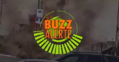 buzz-alerte-le-liban-ravage-par-une-serie-d-incendies