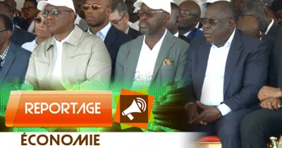 reportage-operation-1-million-d-arbres