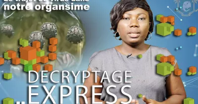 que-se-passe-t-il-dans-votre-corps-quand-vous-attrapez-le-coronavirus