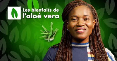 minute-verte-les-bienfaits-de-l-aloe-vera
