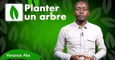 la-minute-verte-planter-un-arbre