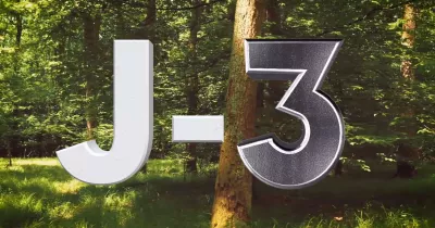 planting-d-arbre-j-3