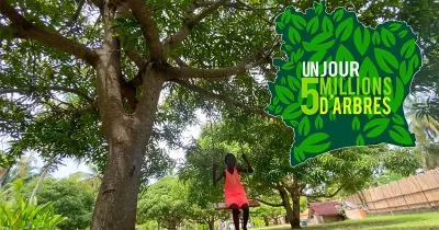 planting-d-arbres