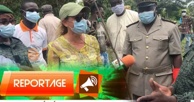 reconstitution-de-la-foret