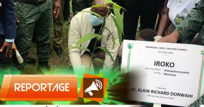 operation-1-jour-5-millions-d-arbre-donwahi-engage-la-restauration-du-couvert-forestier