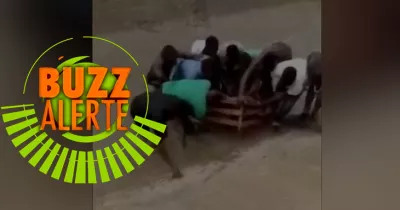 zoo-d-abidjan-l-hyene-en-fuite-capturee