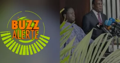 de-la-desobeissance-civile-au-boycott-actif