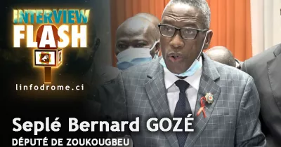 assemblee-nationale-session-pleniere-clash-entre-les-deputes-rhdp-et-les-opposants