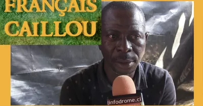 avoir-une-araignee-au-plafond