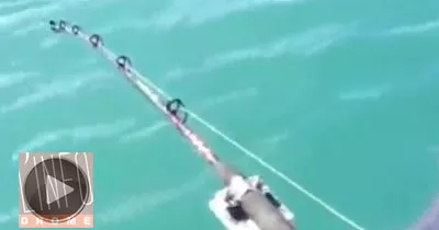 le-poisson-etait-plus-gros-que-prevu