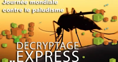 journee-mondiale-contre-le-paludisme