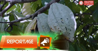 prix-pierre-castel-solibra-soutenir-les-agripreneurs-3