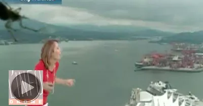 la-presentatrice-meteo-et-l-araignee